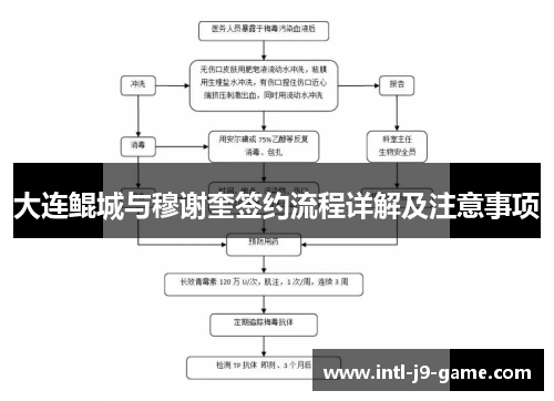 大连鲲城与穆谢奎签约流程详解及注意事项